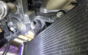 KAWASAKI Z900RS 2021