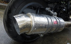 HONDA PS250 2008 MF09