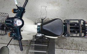HONDA C50 SUPER CUB 2009 AA09