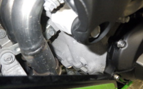 KAWASAKI ZX 10 NINJA ABS 2023 ZXT02L