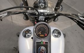 HARLEY HARLEY FLSTC1580 BW5