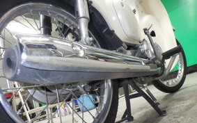 HONDA C110 SUPER CUB 2024 JA44