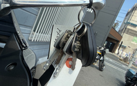 HARLEY FXLRST 2024 YXZ