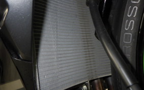 KAWASAKI NINJA ZX-6R A 2025 ZX636J