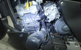 HONDA HORNET 250 MC31