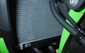 KAWASAKI NINJA 400 2024 EX400L