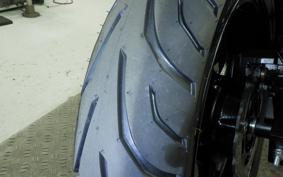 KAWASAKI NINJA 250 EX250L
