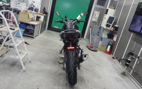 YAMAHA MT-25 2008 RG10J