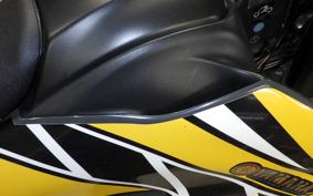YAMAHA WR250X DG15J