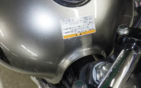 KAWASAKI W800 2024 EJ800E