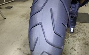 TRIUMPH TIGER 900 GT PRO 2020