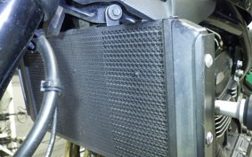 KAWASAKI Z900RS 2020 ZR900C