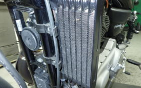 OTHER +HD. XR1200 2010
