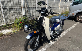 HONDA  SUPER CUB 110 PRO LITE JA77