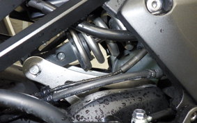 KAWASAKI NINJA 1000SX 2021 ZXT02K
