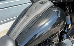 HARLEY FXLRST 2024 YXZ