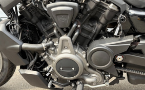 HARLEY  HARLEY RH975S NIGHT  STAR  2023 ZF1