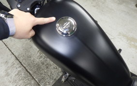 HARLEY XL883N 2020