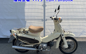HONDA LITTLE CUB