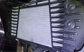 YAMAHA MT-25 A 2024 RG74J