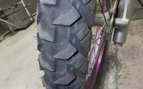 YAMAHA TT250R RAID 4GY