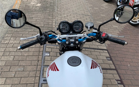 HONDA HORNET 250 MC31