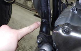 YAMAHA VIRAGO 250 2007 3DM