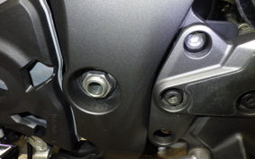 KAWASAKI NINJA 1000SX 2024 ZXT02K