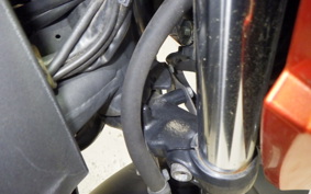 KAWASAKI Z250 ER250C