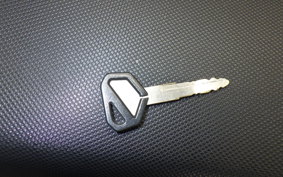 KAWASAKI KLX250D TRACKER X 2025 LX250V