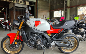 YAMAHA XSR900 2024 RN80J