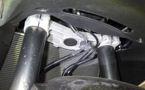 KAWASAKI NINJA 1000 A 2020 ZXT00W