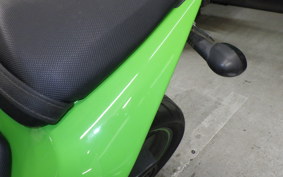 KAWASAKI NINJA 250R 2019 EX250K