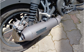 HONDA  REBEL 250 ABS MC49