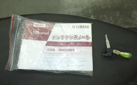 YAMAHA AXIS 125 TREET SE53J