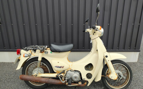 HONDA LITTLE CUB C50