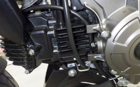 KAWASAKI Z125 PRO 2024 BR125H