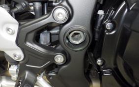 KAWASAKI Z900RS CAFE 2024