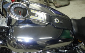 HARLEY FLSTFI1920 2025