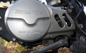 HONDA APE 50 AC16