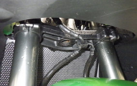 KAWASAKI NINJA 1000 2011