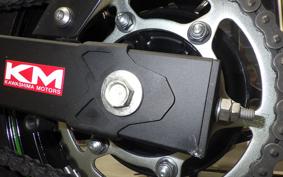 KAWASAKI NINJA 400 2024 EX400L