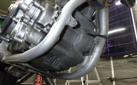 YAMAHA WR250R 2024 DG15J