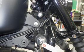 HARLEY XL883N 2019