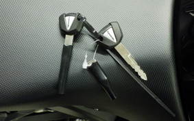 KAWASAKI NINJA 1000 SX 2024 ZXT02K