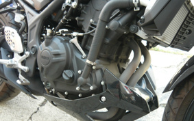YAMAHA MT-25 RG43J
