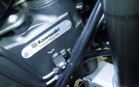 KAWASAKI NINJA1100SX 2025