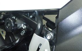 SUZUKI Vｽﾄﾛｰﾑ650 2009