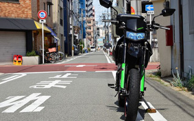 KAWASAKI KLX125D TRACKER X 2012 LX250V