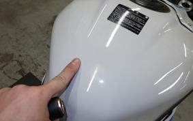 BMW S1000RR M DDC 2024